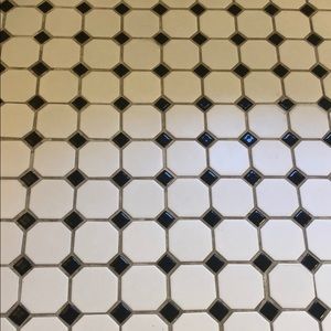 Meet your Posher, Holly